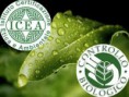 /album/galeria-de-fotos-cosmetica-biologica/images-1-jpg/